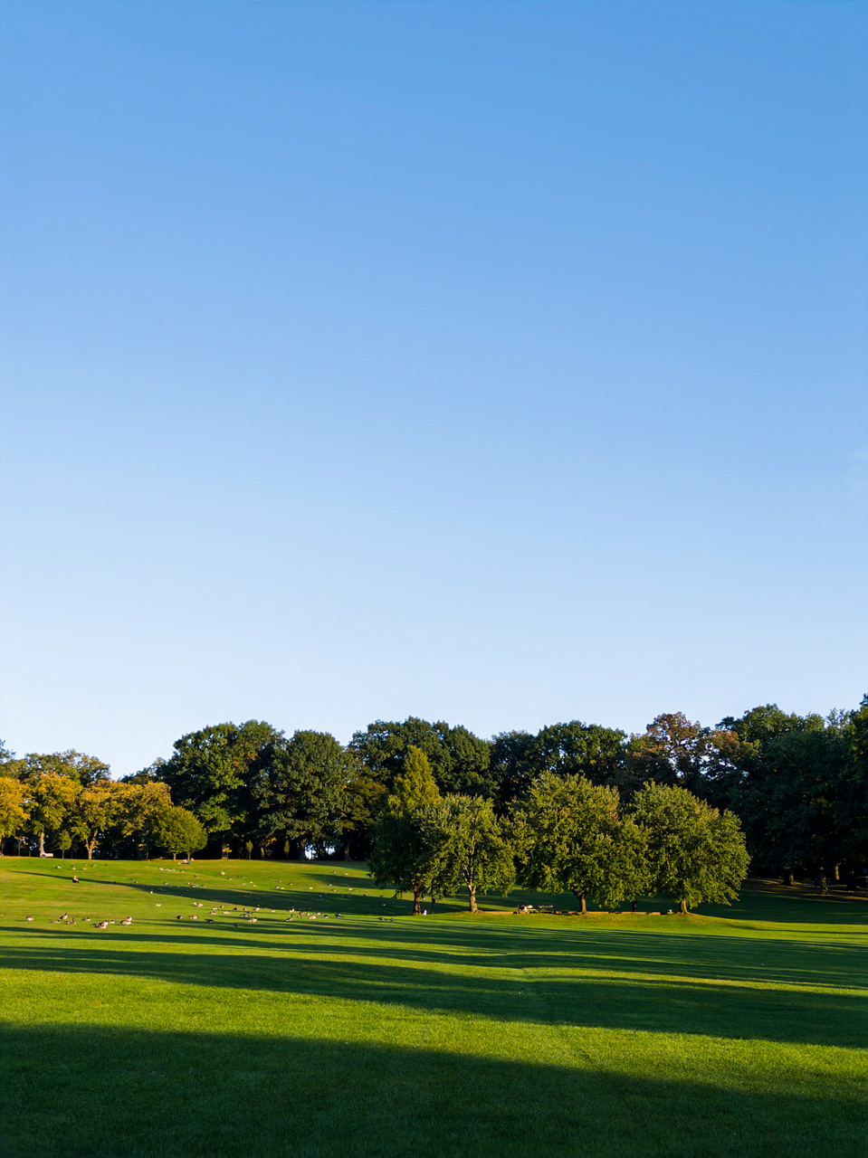CMU Flagstaff Hill