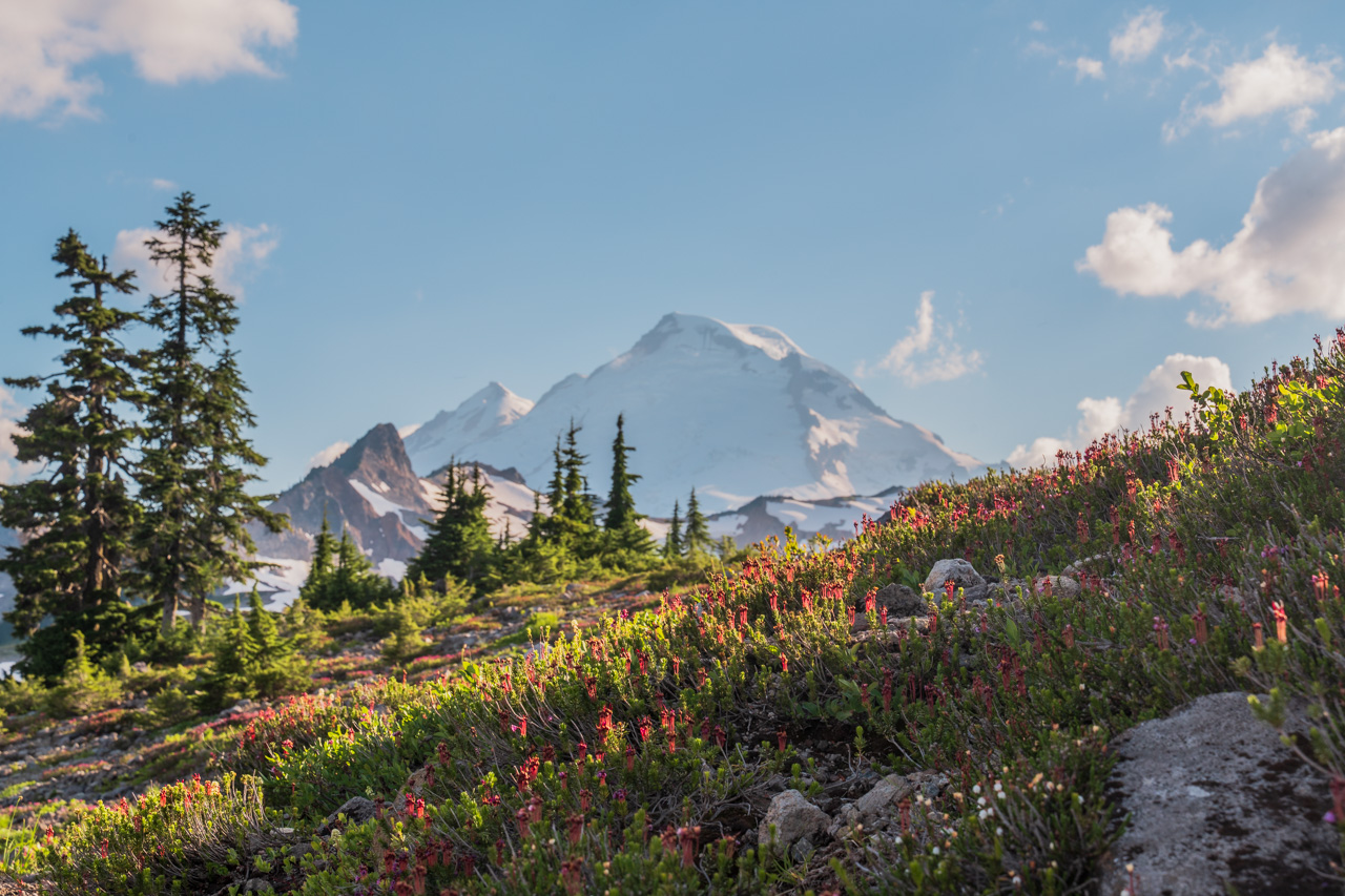 Mount Baker View 2