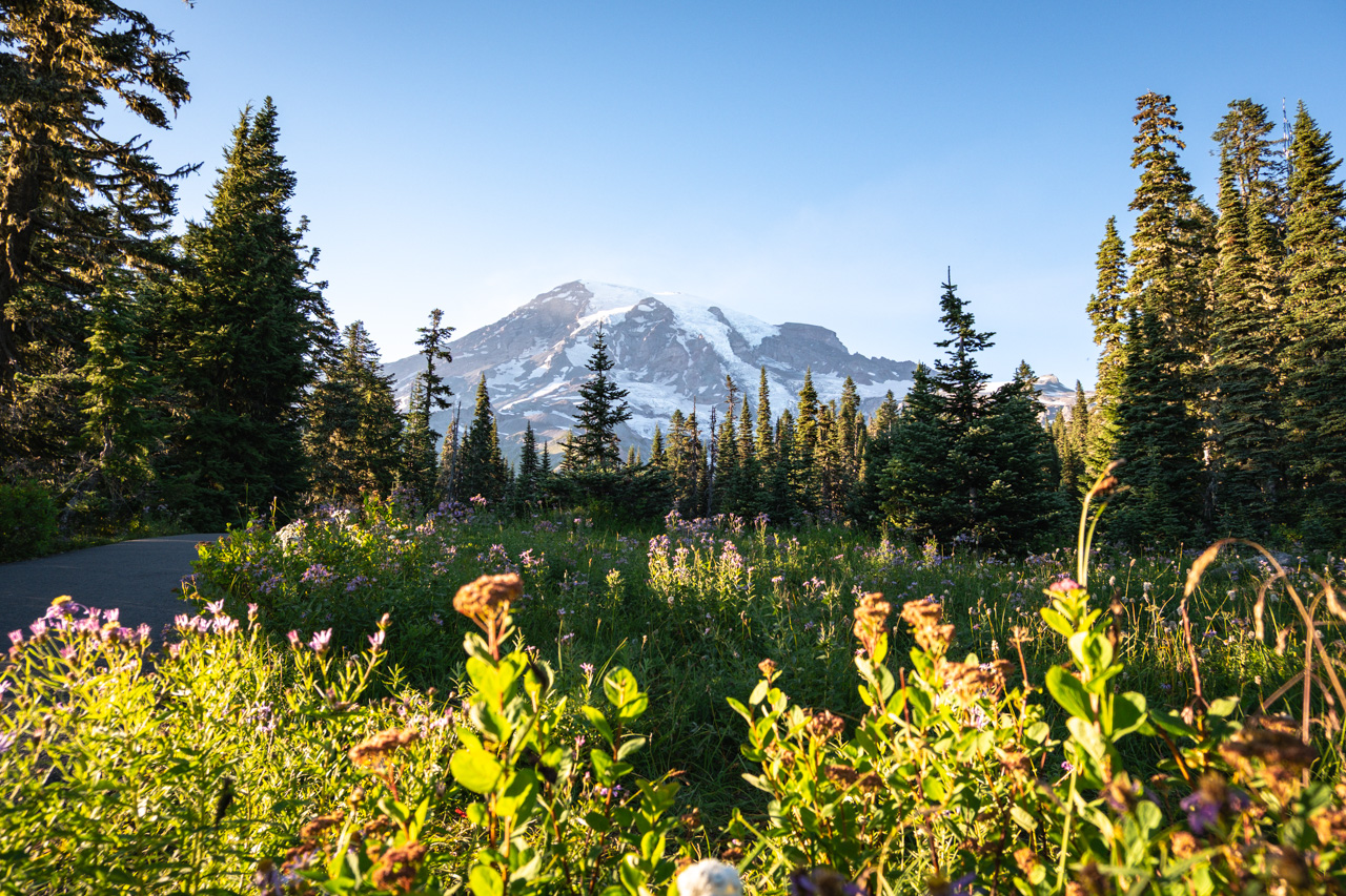 Mount Rainier National Park